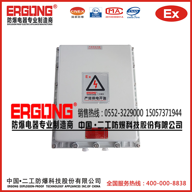 二工防爆配電箱專業(yè)團隊優(yōu)質材質