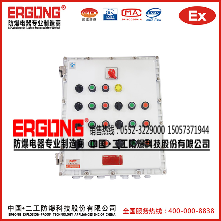 IP65優(yōu)質防爆配電（控制）箱
