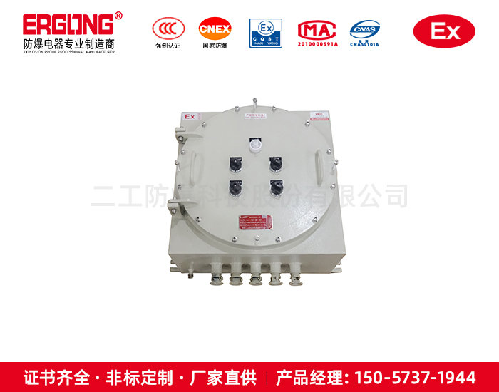 IIC級控制箱防爆非標(biāo)定制